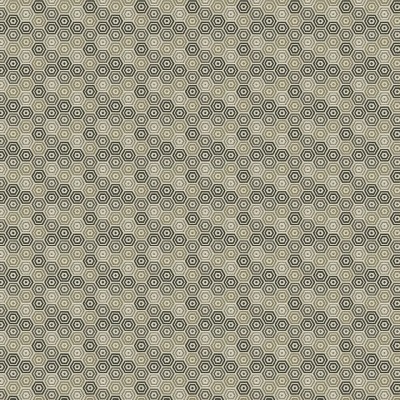Ткань Kravet fabric 33656-1611