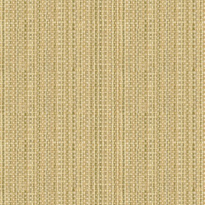 Ткань Kravet fabric 31992-1116