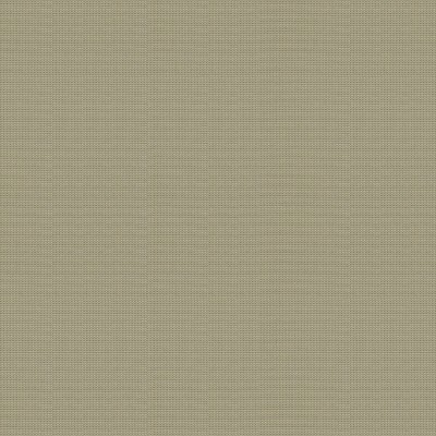 Ткань Kravet fabric 33396-11