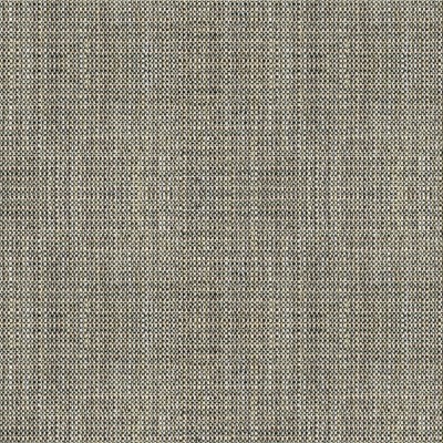 Ткань Kravet fabric 33788-81