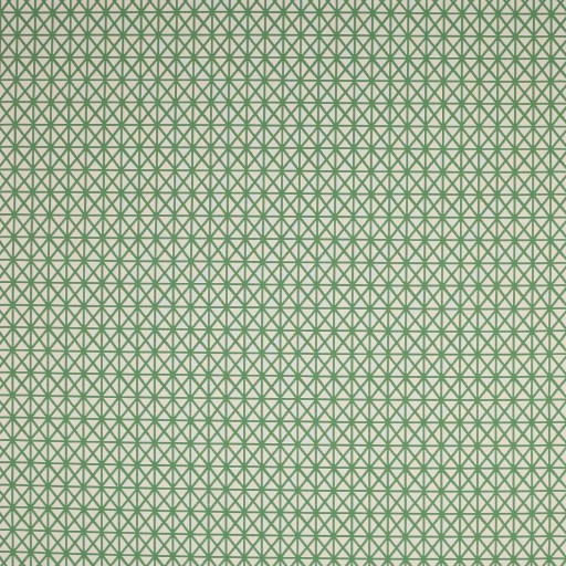 Ткань Manuel Canovas fabric 04941-04