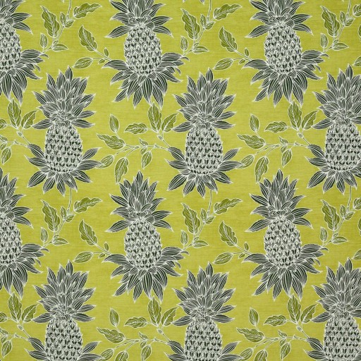 Ткань Manuel Canovas fabric M4005-01