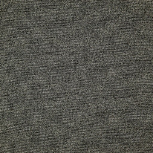 Ткани Nobilis fabric 10664/28