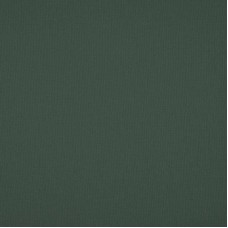 Ткань Nobilis fabric 10658/73 