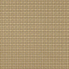 Ткани Nobilis fabric 10661/09