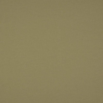 Ткани Nobilis fabric 10658/35