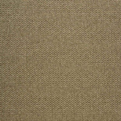 Ткань Prestigious Textiles fabric 2009-061 