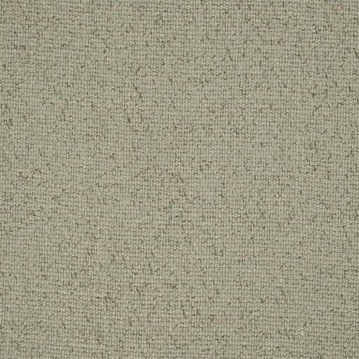Ткань Sanderson fabric DWLP235632