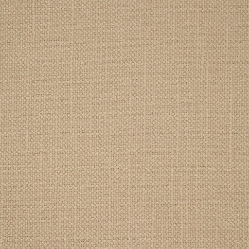 Ткань Sanderson fabric DALY245807