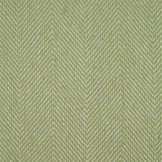 Ткань Sanderson fabric DCHK233570