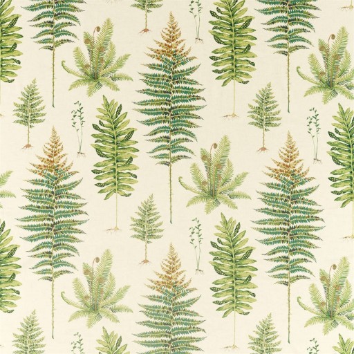 Ткань с зелёными листьями папоротника DGLA226578