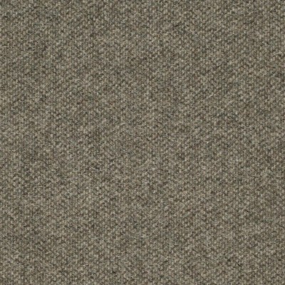 Ткань Sanderson fabric DWOL235313