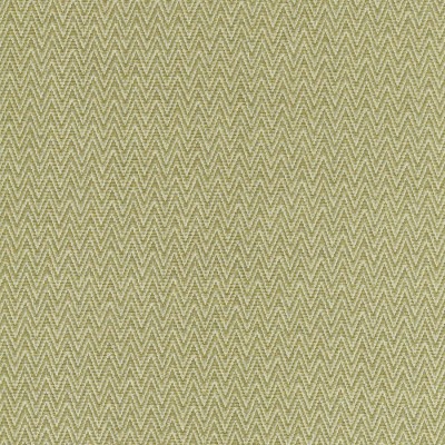 Ткань Sanderson fabric DCAC236909
