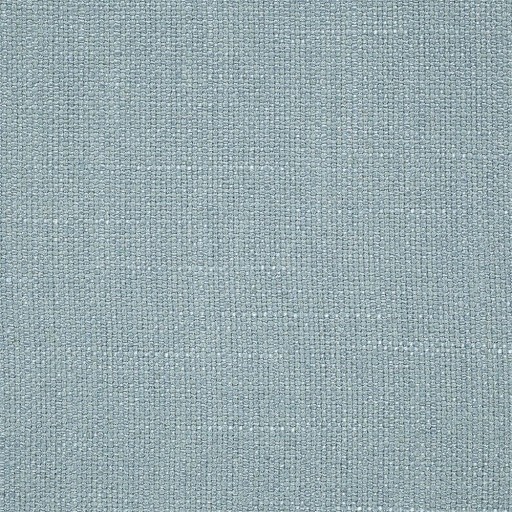 Ткань нежно-голубого цвета коврового покрытия DCST232696