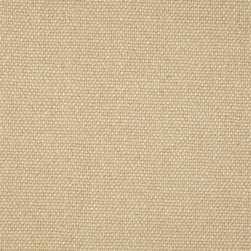 Ткань Sanderson fabric DWLP235628