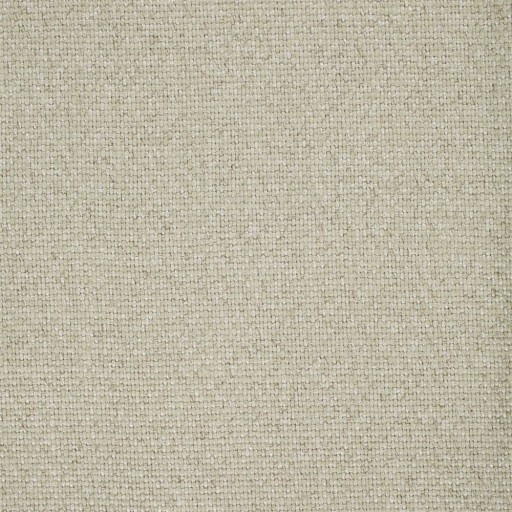 Ткань Sanderson fabric DWLP235631