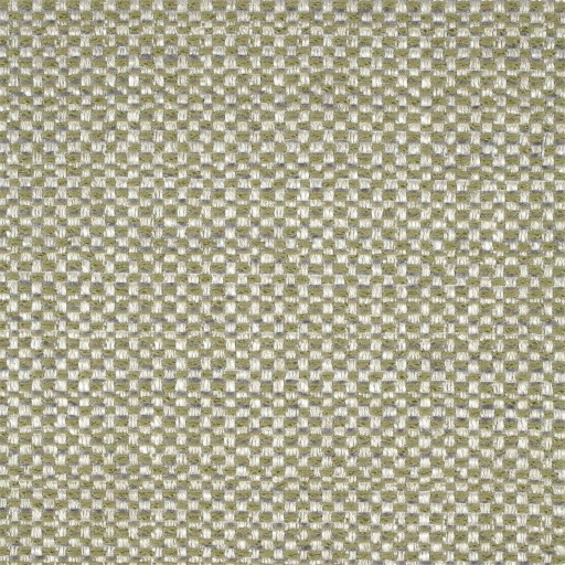 Ткань Scion fabric NSPW131265
