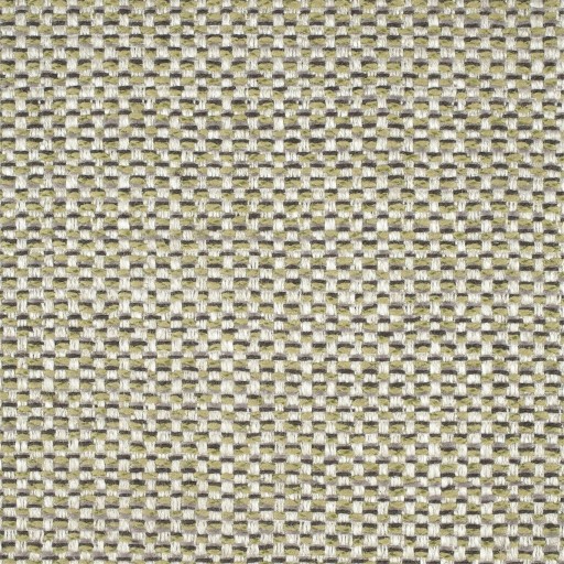 Ткань Scion fabric NSPW131264 Ткань Scion fabric NSPW131264