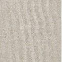 Metal Sheers Brushed 