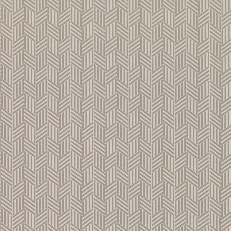 Ткань Zinc fabric Z584-02