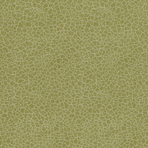 Ткань Zoffany fabric ZCAS331965