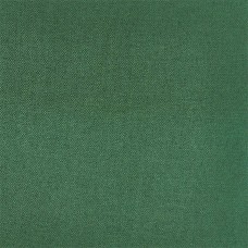 Ткань Zoffany fabric ZP1C333171