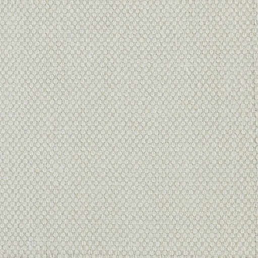 Ткань Zoffany fabric ZBRA342366