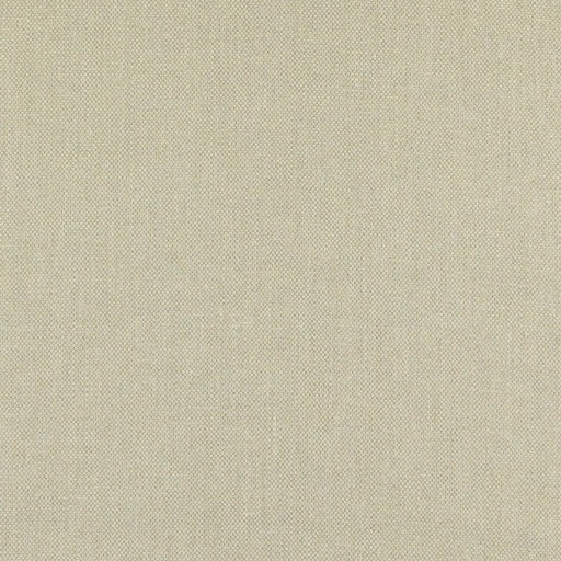 Ткань Zoffany fabric ZBRA342365