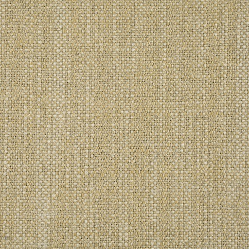 Ткань Zoffany fabric ZELS332825