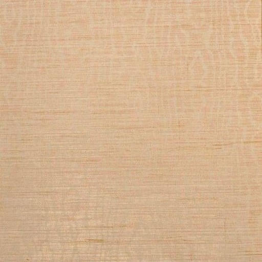 Обои Regency Wallcoverings Cambridge 41505 TX