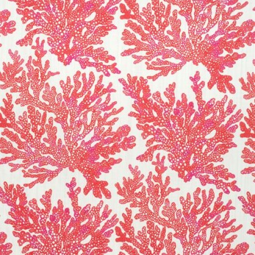Ткань Thibaut fabric F910120 