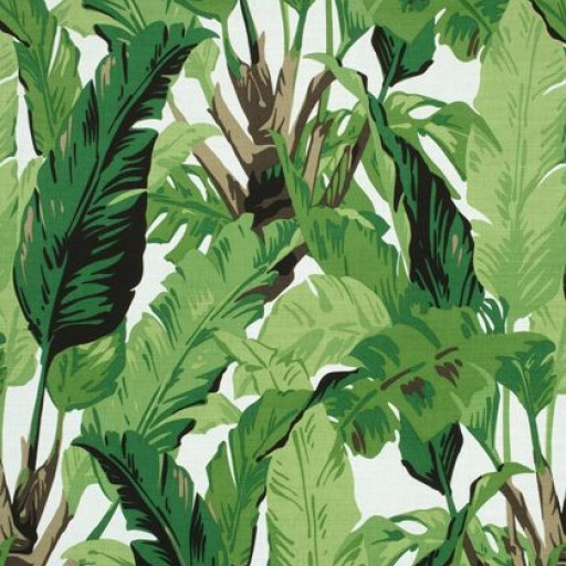 Ткань Thibaut Tropics tkani F910127
