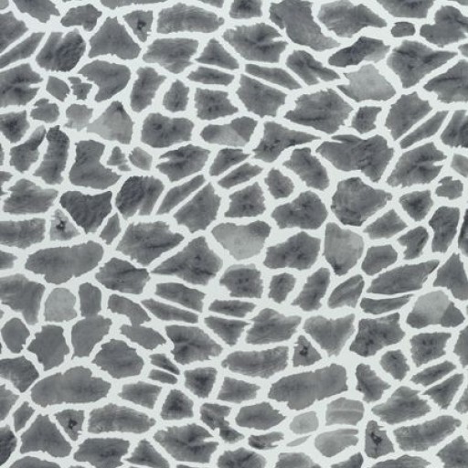 Ткань Thibaut fabric F910222 