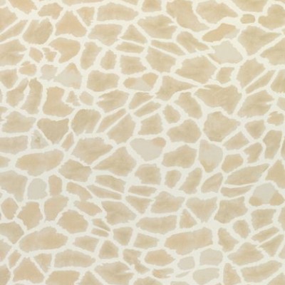 Ткань Thibaut Colony tkani F910223