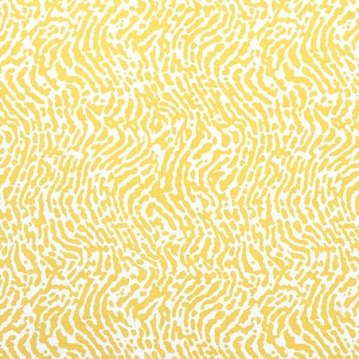 Ткань Thibaut fabric F913157 