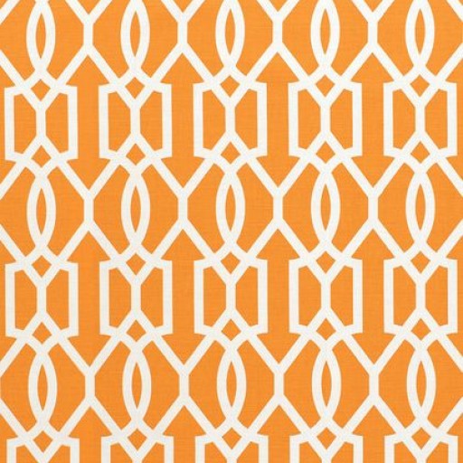 Ткань Thibaut fabric F916049