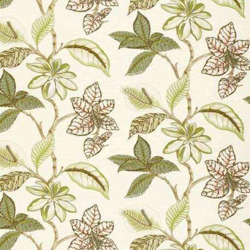 Ткань Thibaut fabric F95750