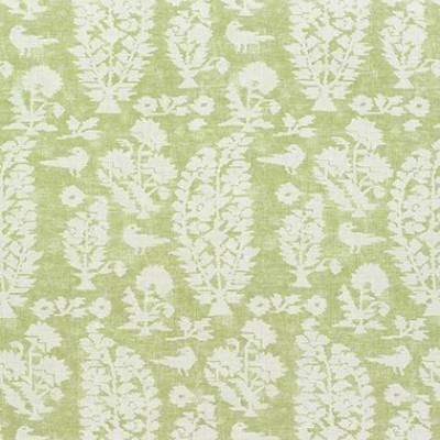 Ткань Thibaut fabric F972597