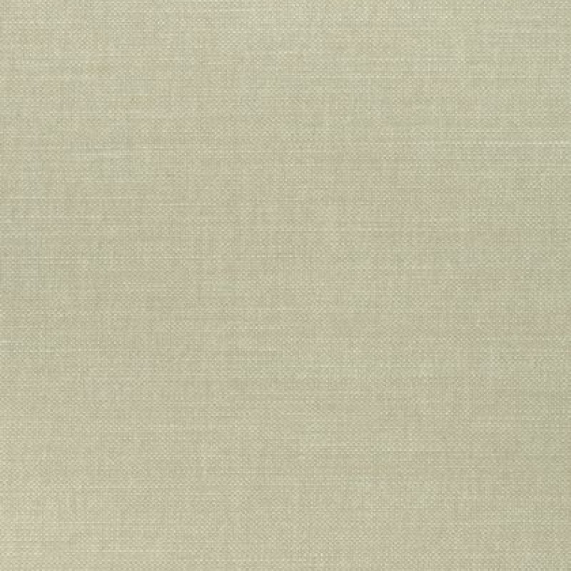 Ткань Thibaut fabric W70108 