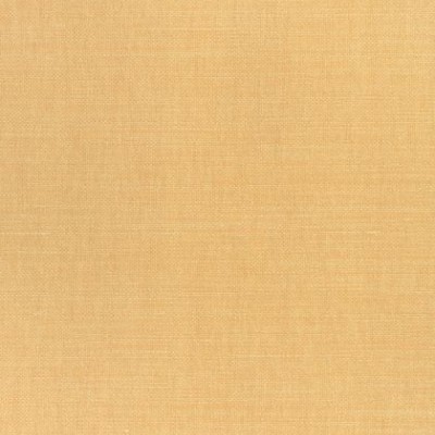 Ткань Thibaut Woven 12: Prisma W70123