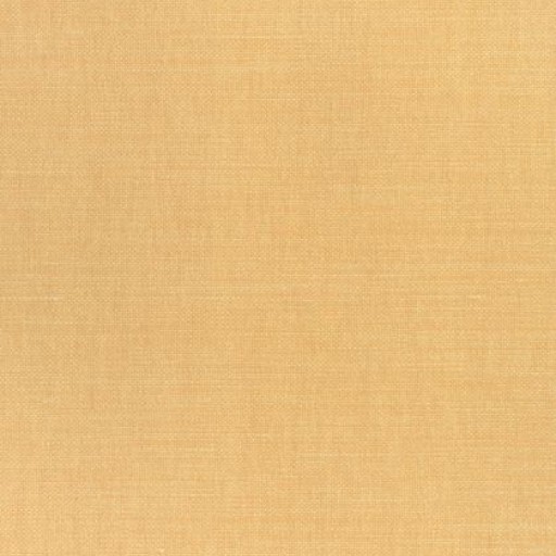 Ткань Thibaut Woven 12: Prisma W70123
