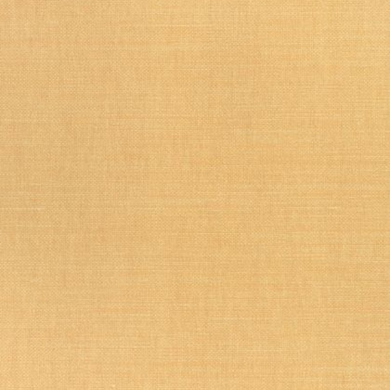 Ткань Thibaut fabric W70123 
