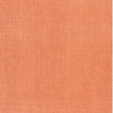 Ткань Thibaut fabric W70124
