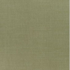 Ткань Thibaut Woven 12: Prisma W70137