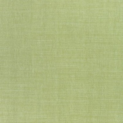 Ткань Thibaut fabric W70138