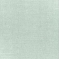 Ткань Thibaut Woven 12: Prisma W70149
