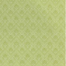 Ткань Thibaut fabric W73330