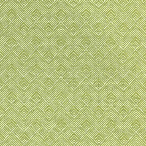 Ткань Thibaut fabric W73330