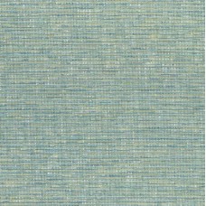 Ткань Thibaut fabric W74041