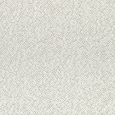 Ткань Thibaut Cadence W74075